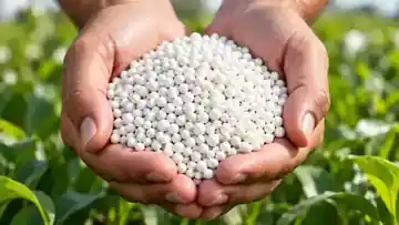 Advanced fertilizer granules