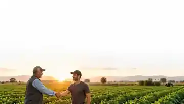 Agricultural dealer network