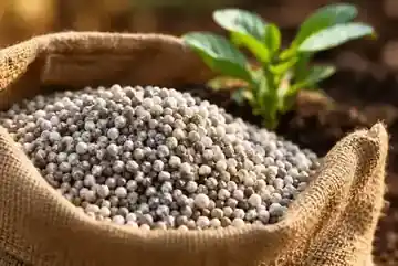 Granular fertilizer