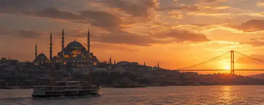 Seedling representing the Türkiye market