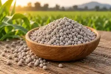 DAP fertilizer granules