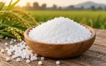 Urea fertilizer granules