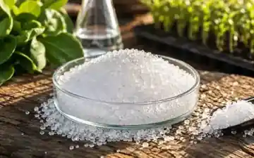 Water soluble fertilizer