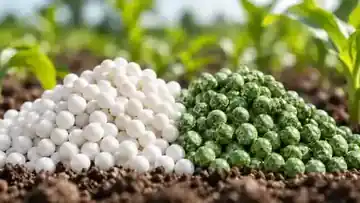 Controlled-release fertilizer granules